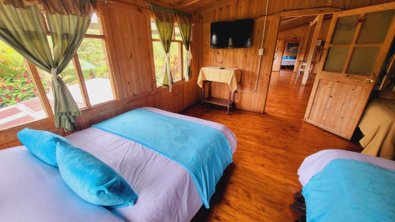 Mindo Glambird Glamping & Lodge エクステリア 写真