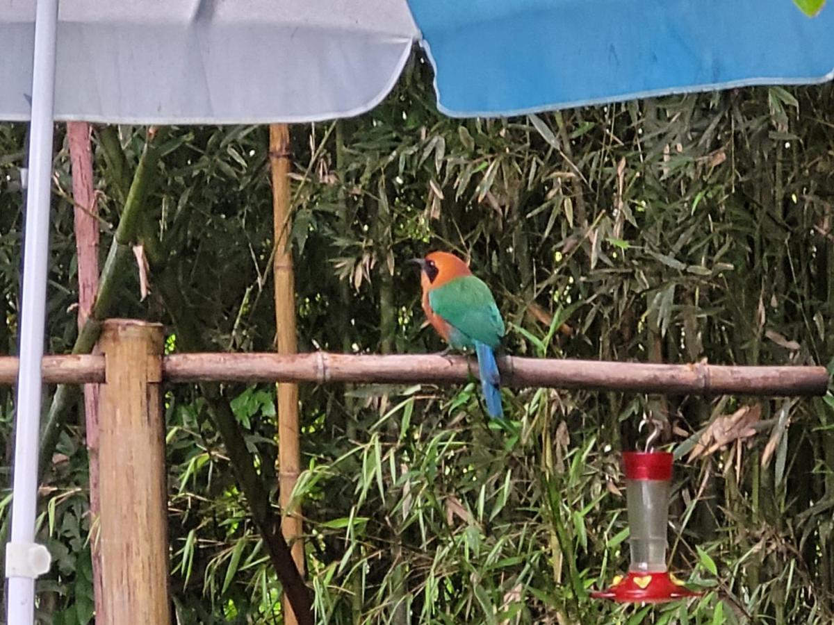Mindo Glambird Glamping & Lodge エクステリア 写真