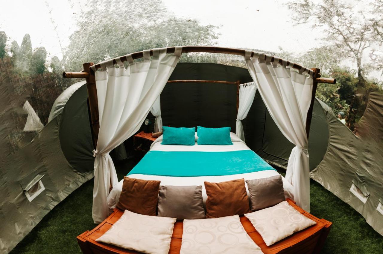 Mindo Glambird Glamping & Lodge エクステリア 写真