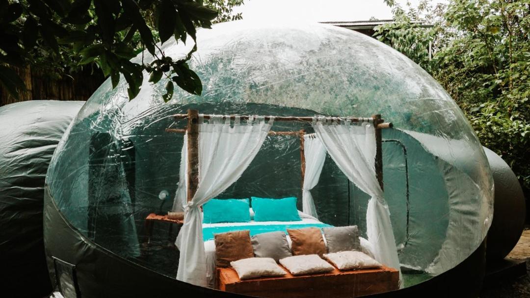 Mindo Glambird Glamping & Lodge エクステリア 写真