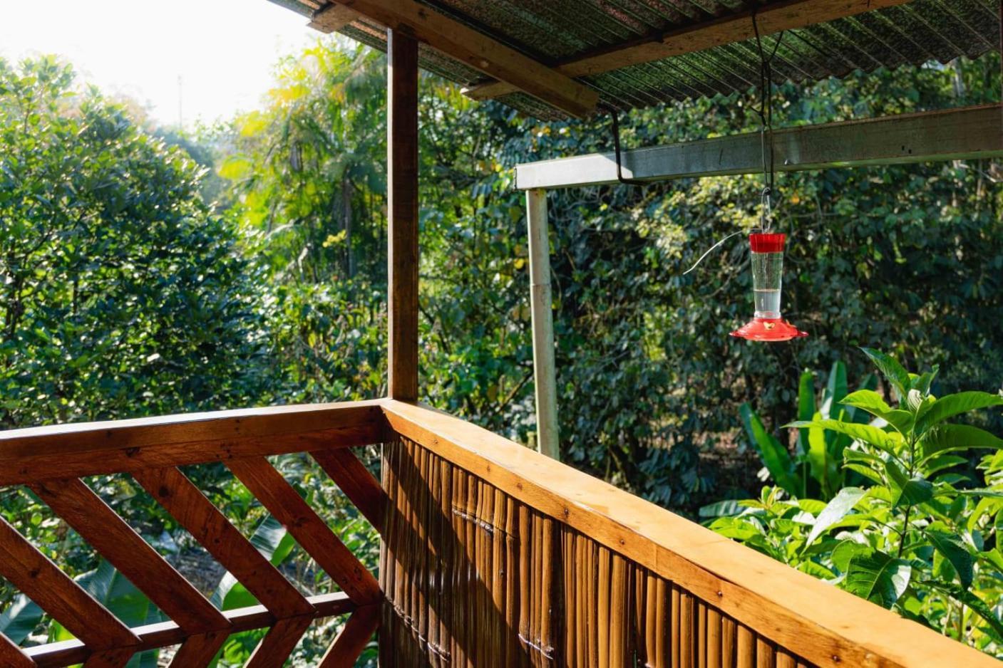 Mindo Glambird Glamping & Lodge エクステリア 写真