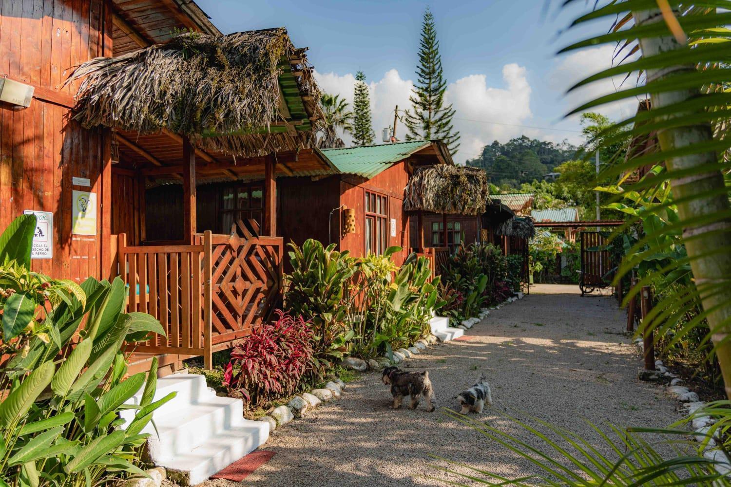 Mindo Glambird Glamping & Lodge エクステリア 写真