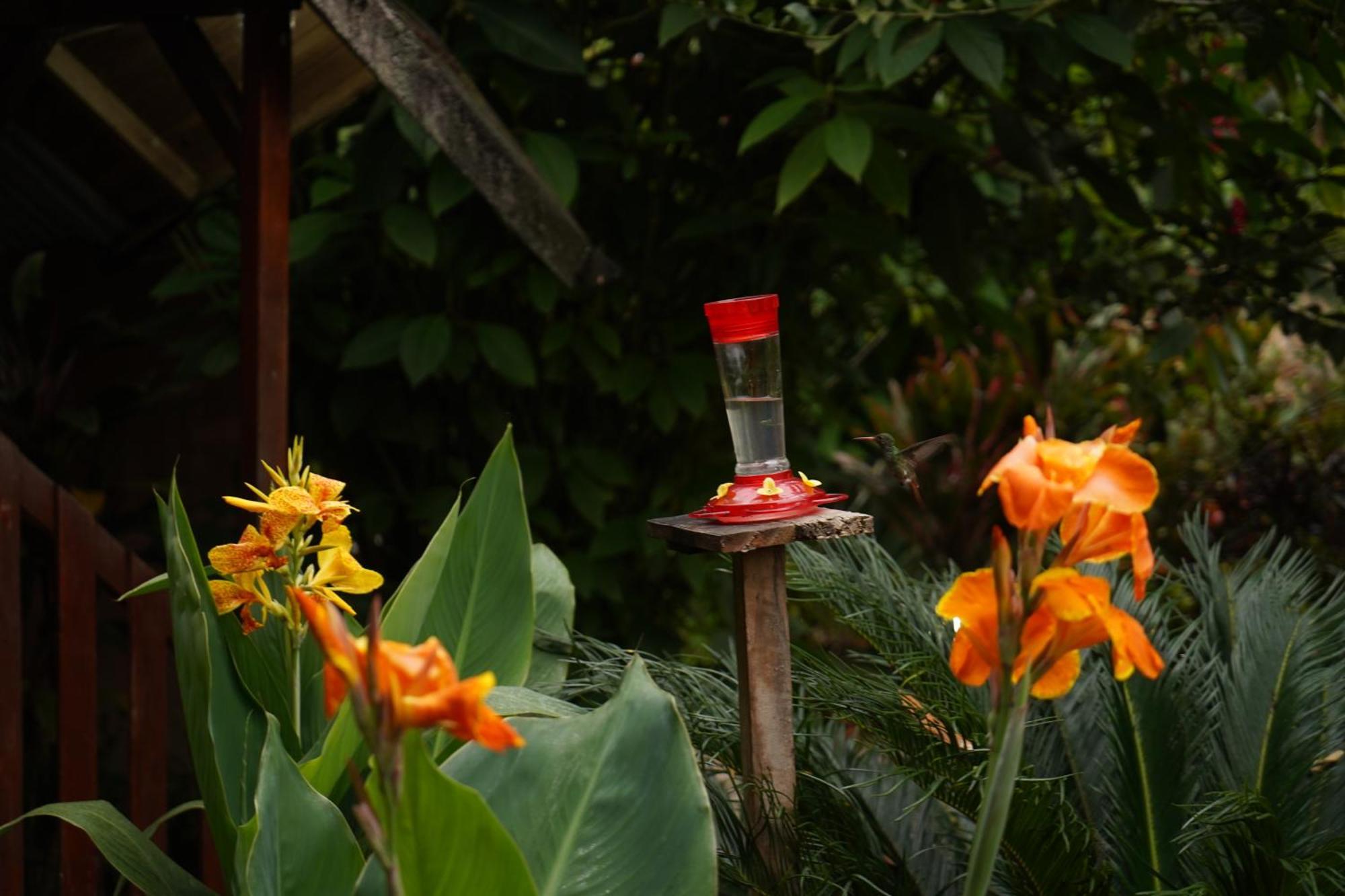 Mindo Glambird Glamping & Lodge エクステリア 写真