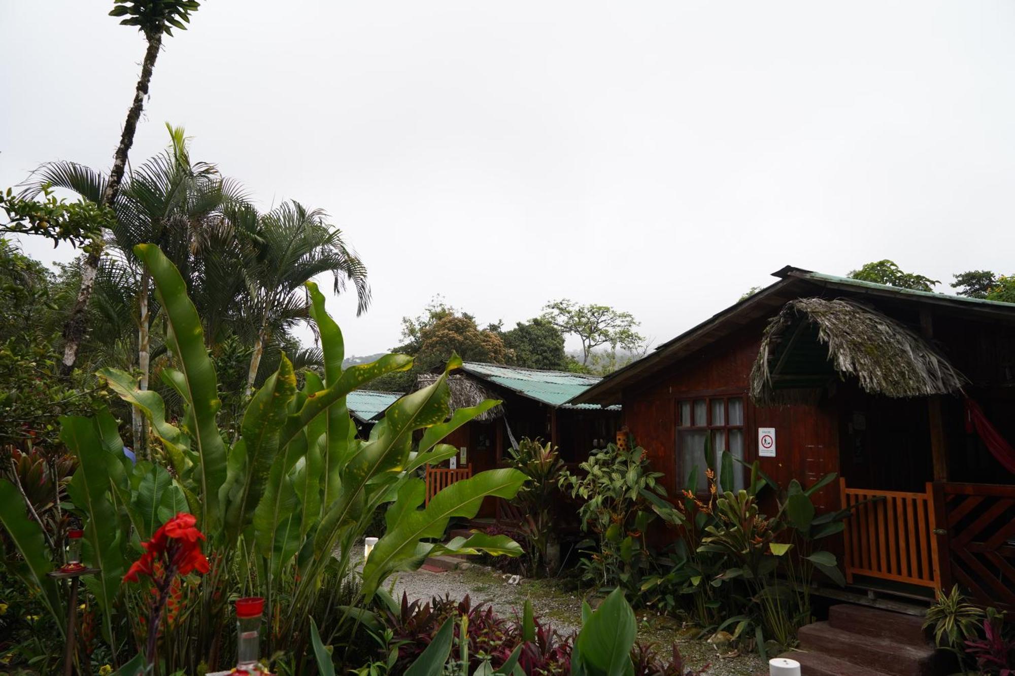 Mindo Glambird Glamping & Lodge エクステリア 写真
