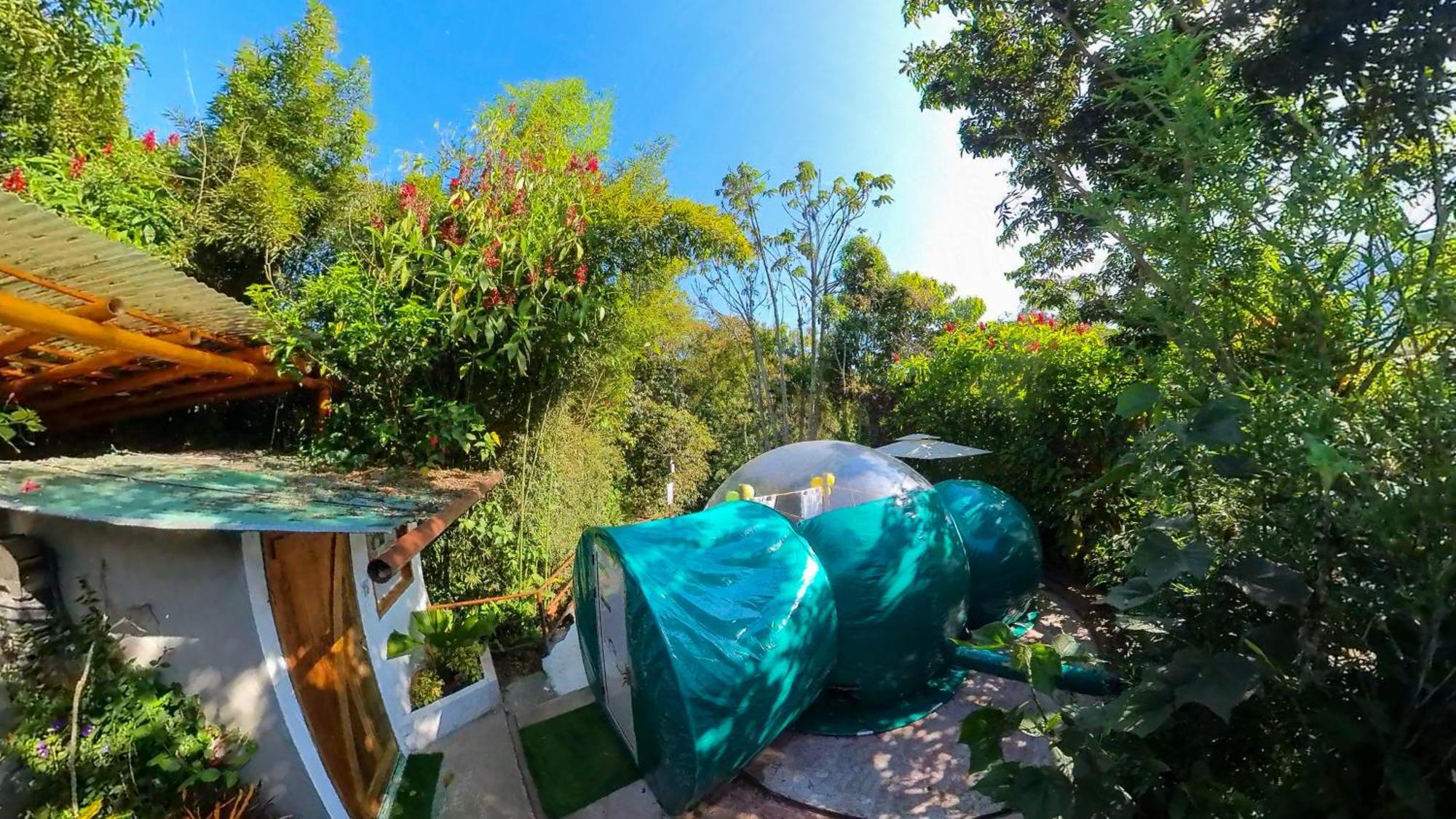 Mindo Glambird Glamping & Lodge エクステリア 写真